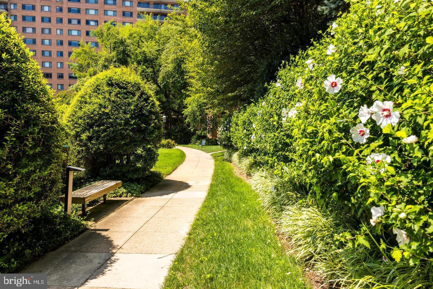 4201 Cathedral Ave Nw #t10e Property Photo 22