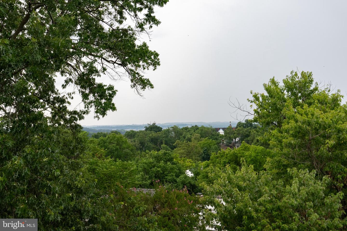 2017 Fulton Pl Ne Property Photo 40