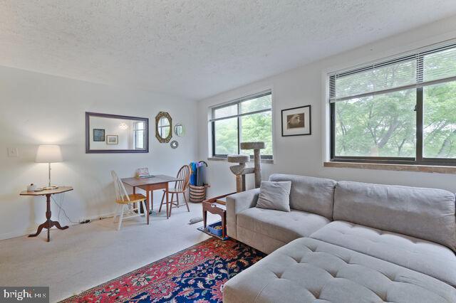 1633 D St Se Property Photo 2