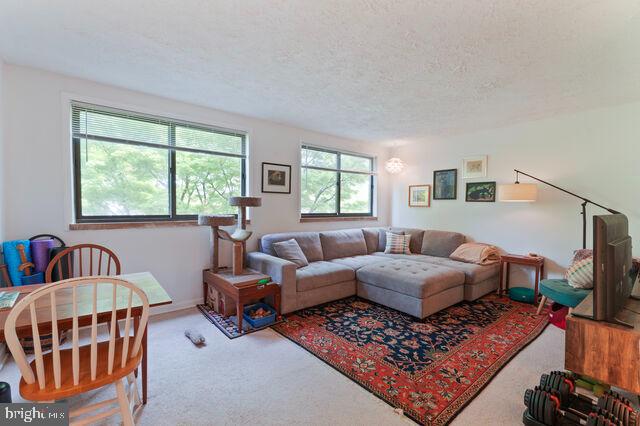 1633 D St Se Property Photo 12