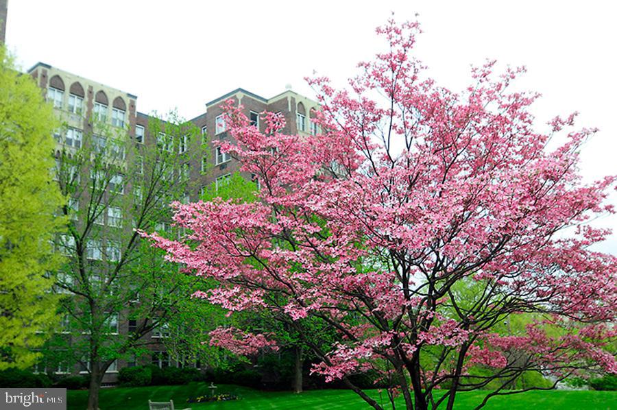 4000 Cathedral Ave Nw #105b Property Photo 35