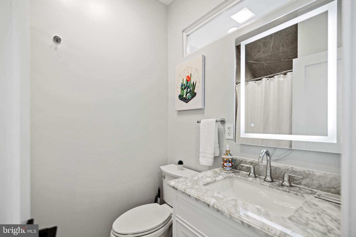 1417 Maryland Ave Ne Property Photo 25