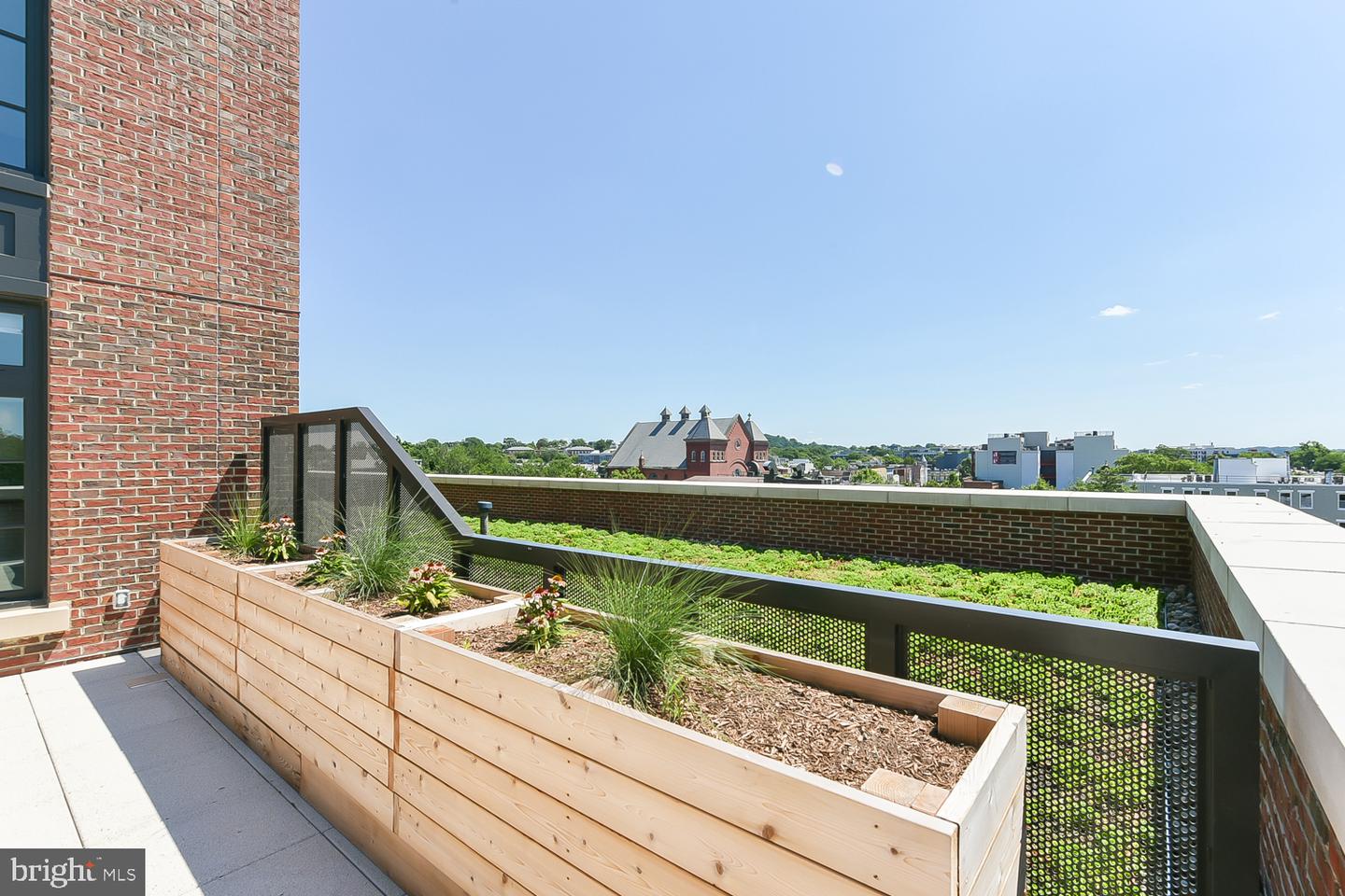 901 H St Ne #flat D Property Photo 41