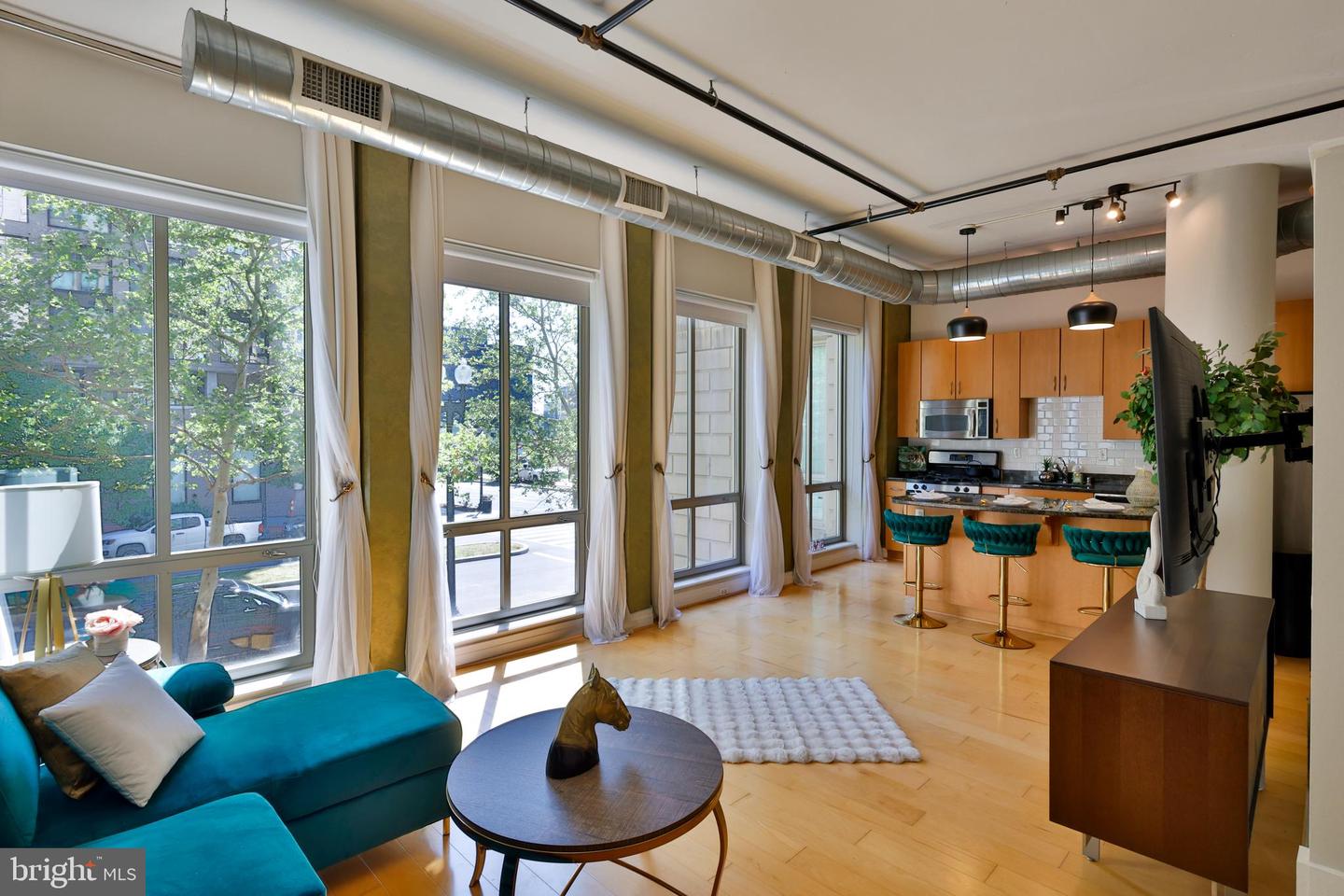 301 Massachusetts Ave Nw #204 Property Photo 9
