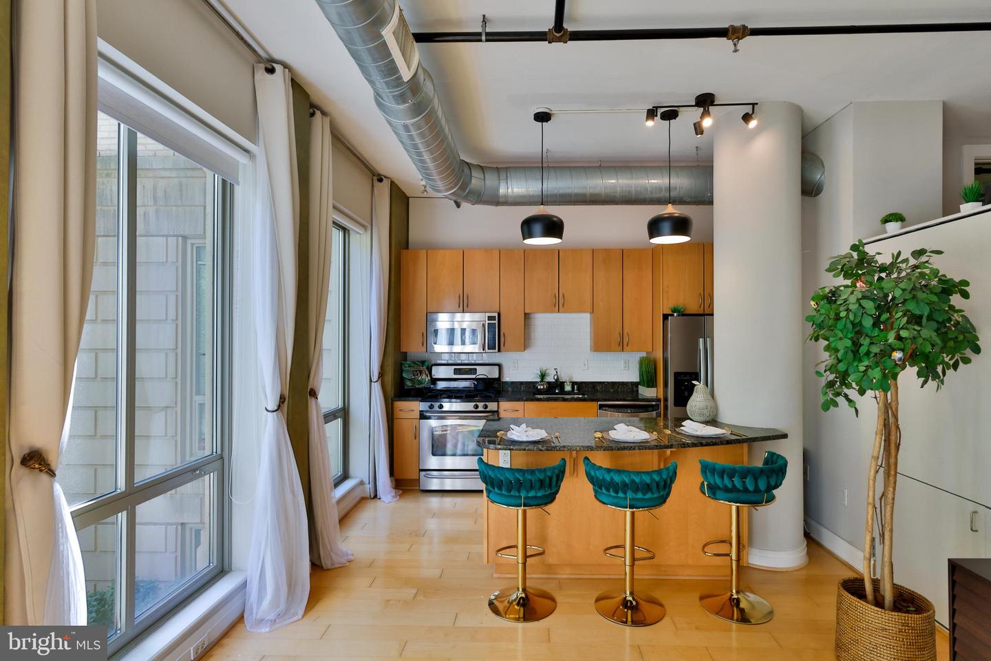 301 Massachusetts Ave Nw #204 Property Photo 10