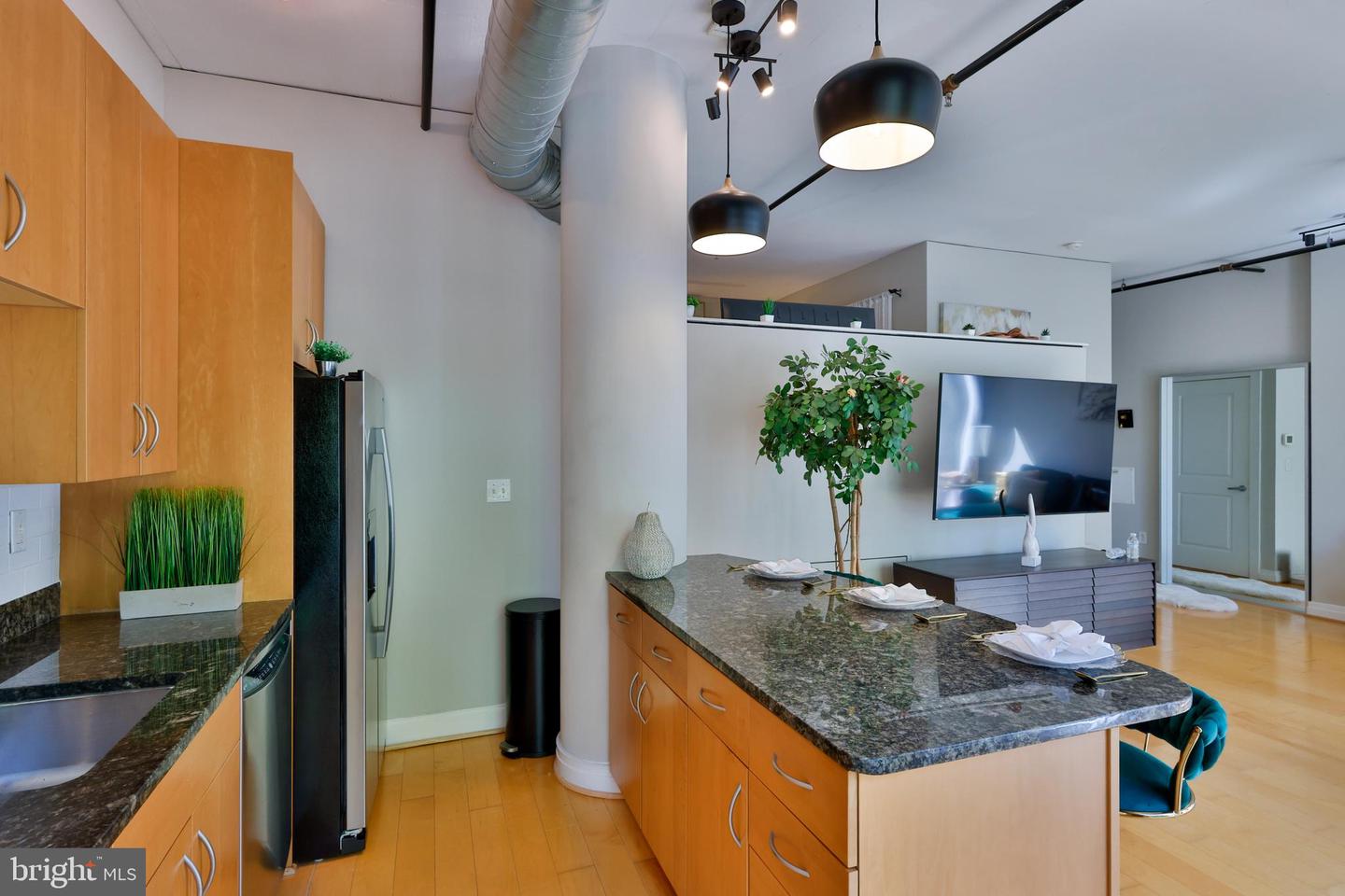 301 Massachusetts Ave Nw #204 Property Photo 13