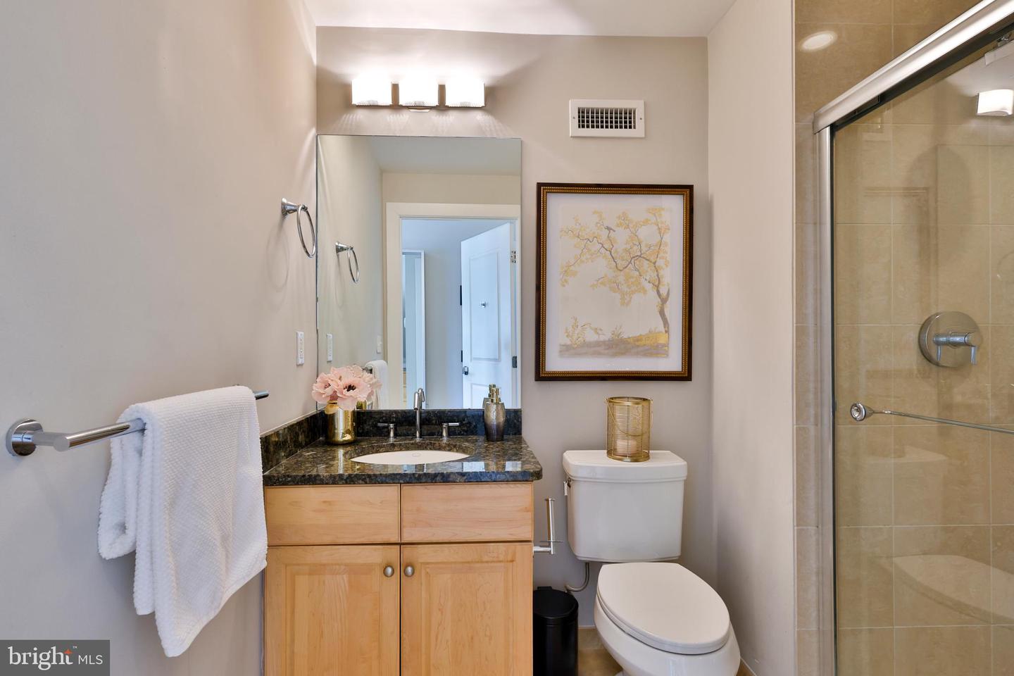 301 Massachusetts Ave Nw #204 Property Photo 27