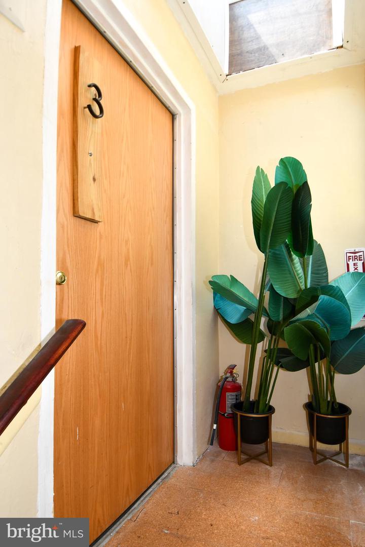 1314 Downing Pl Ne #3 Property Photo 18