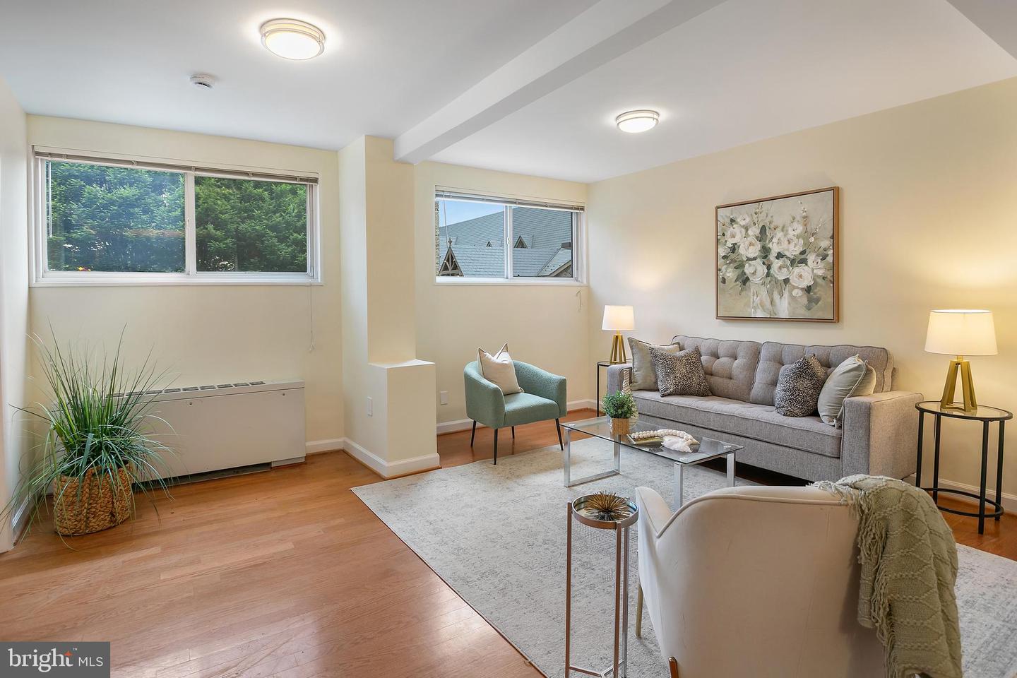 2829 Connecticut Ave Nw #103 Property Photo 4