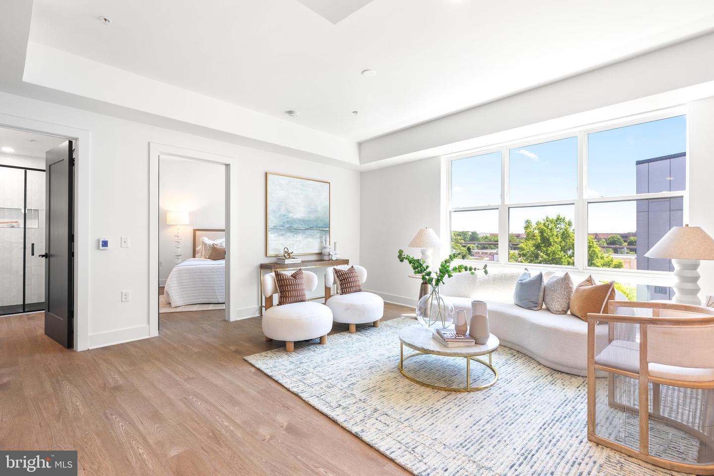 410 Rhode Island Ave Ne #ph4 Property Photo 7