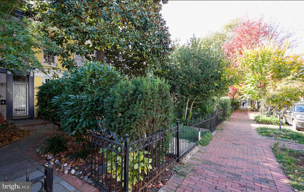 1434 T St Nw Property Photo 28