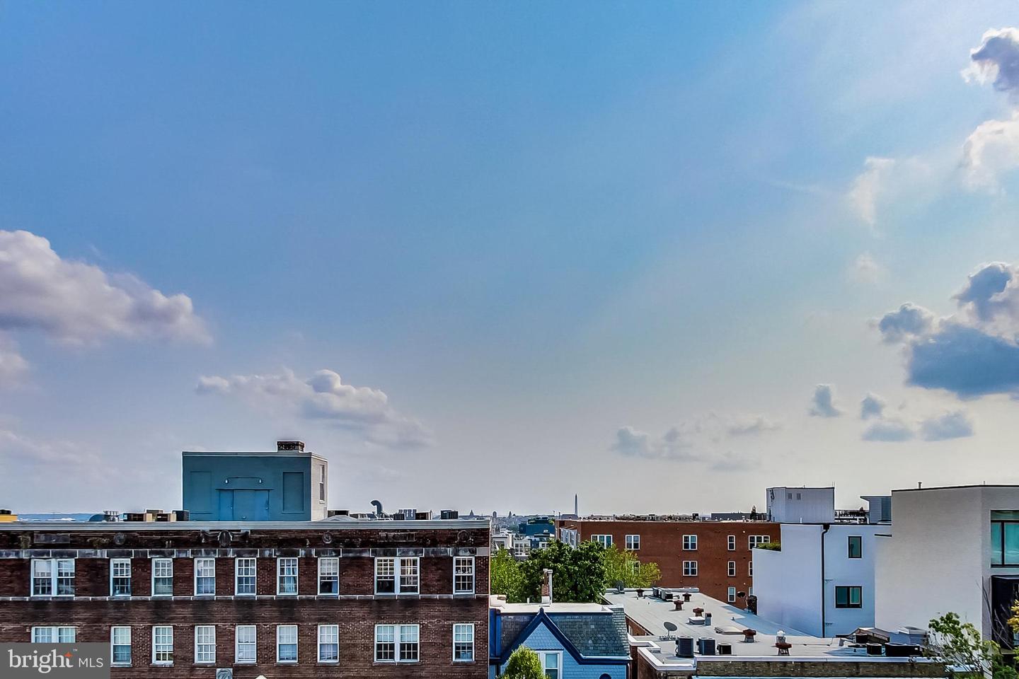 1427 Chapin St Nw #306 Property Photo 33