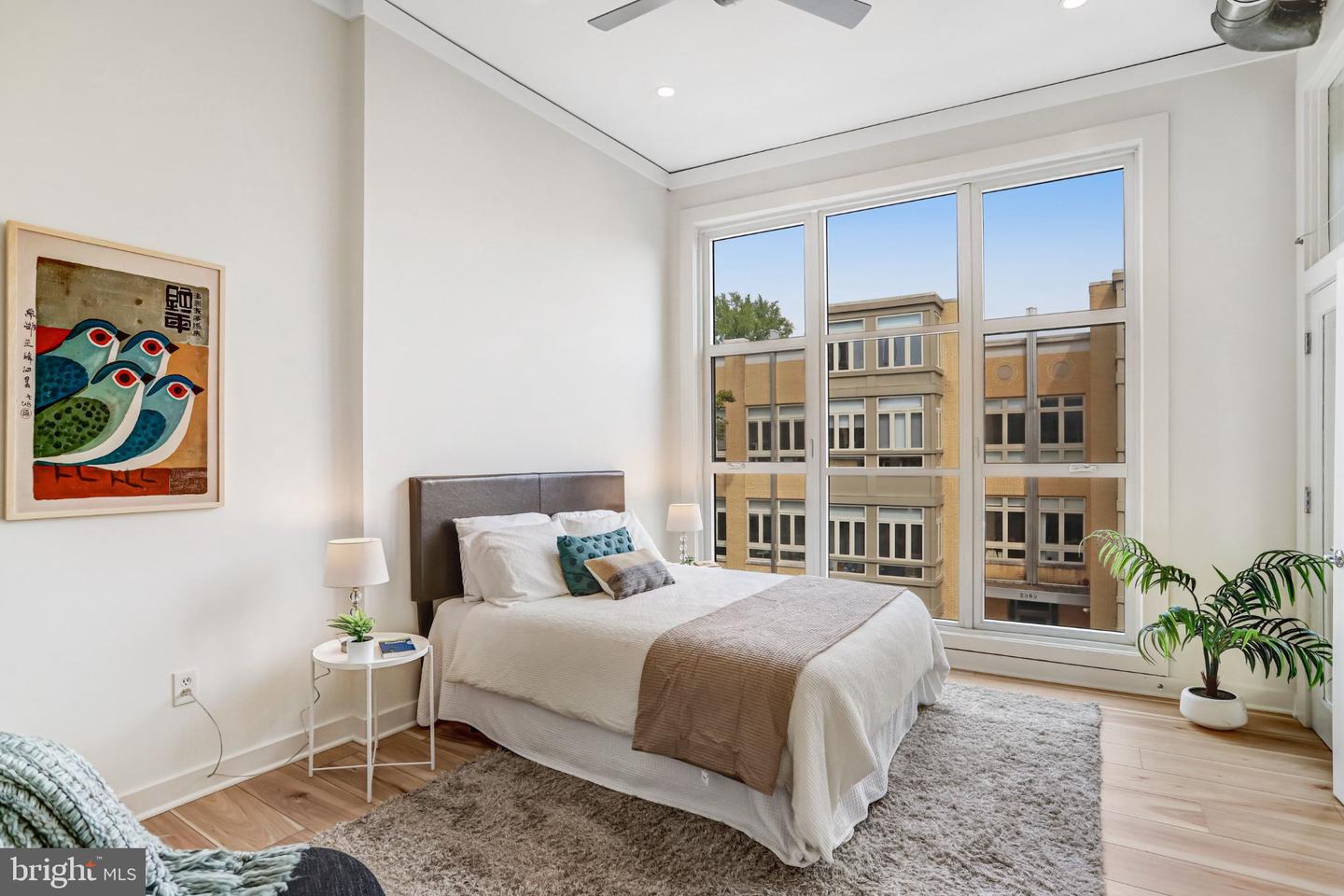 2380 Champlain St Nw #306 Property Photo 12