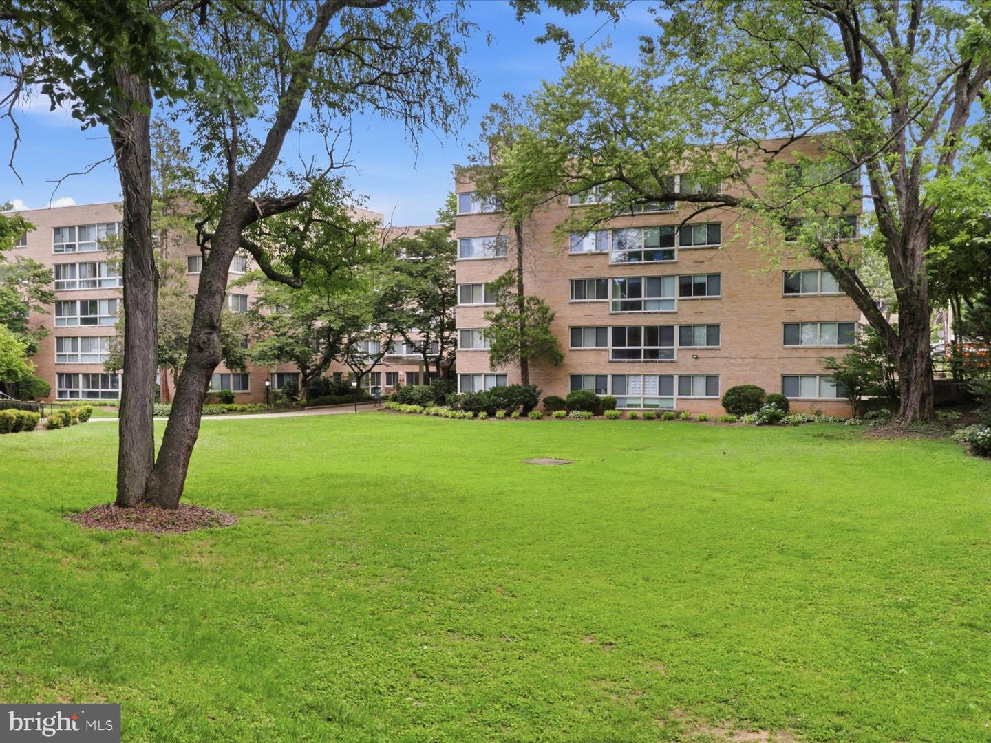6445 Luzon Ave Nw #409 Property Photo 56