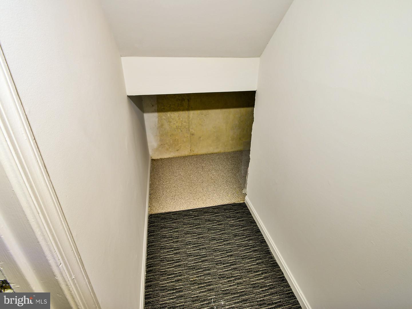 1319 Belmont St Nw Property Photo 22