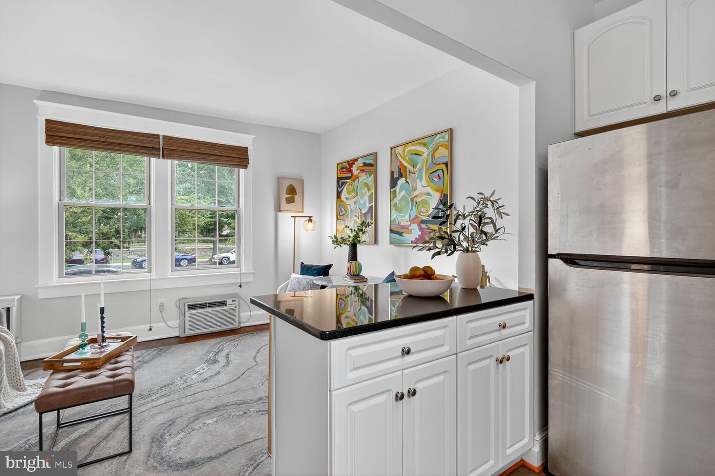3026 Wisconsin Ave Nw #102 Property Photo 6