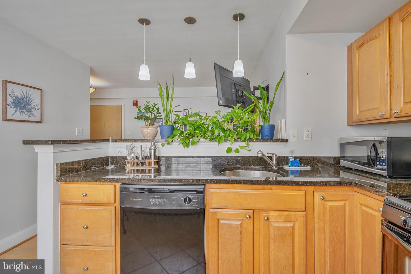 738 Longfellow St Nw #206 Property Photo 15