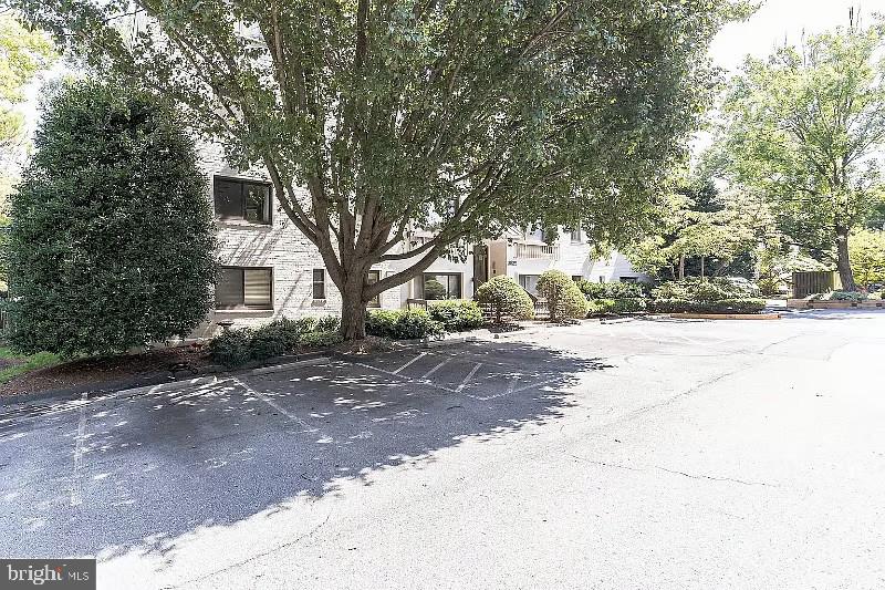3825 Davis Pl Nw #3 Property Photo 10