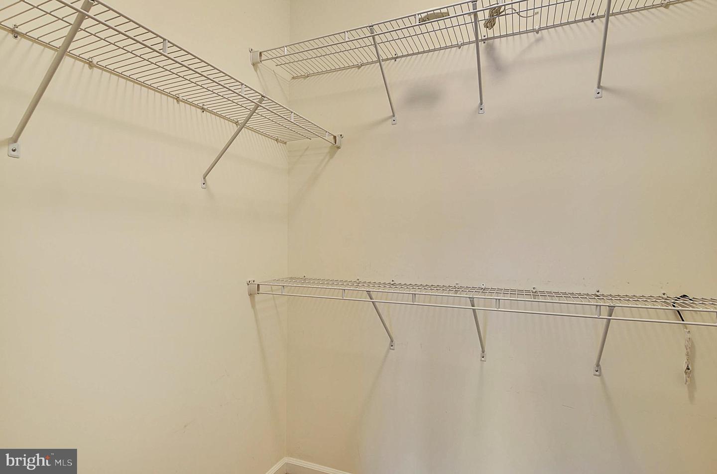 3650 Wright Ter Ne Property Photo 21