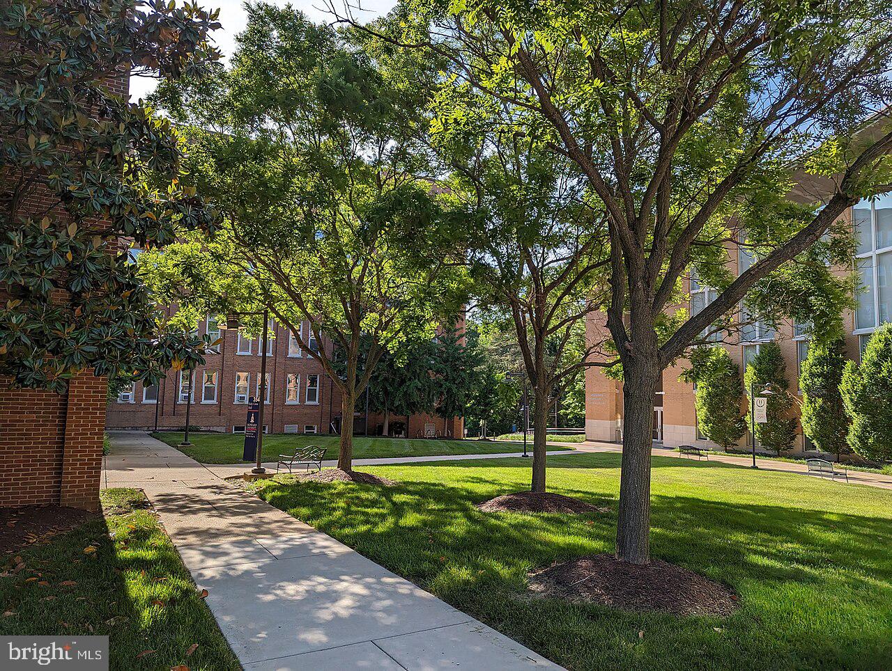 4123 Connecticut Ave Nw Property Photo 49