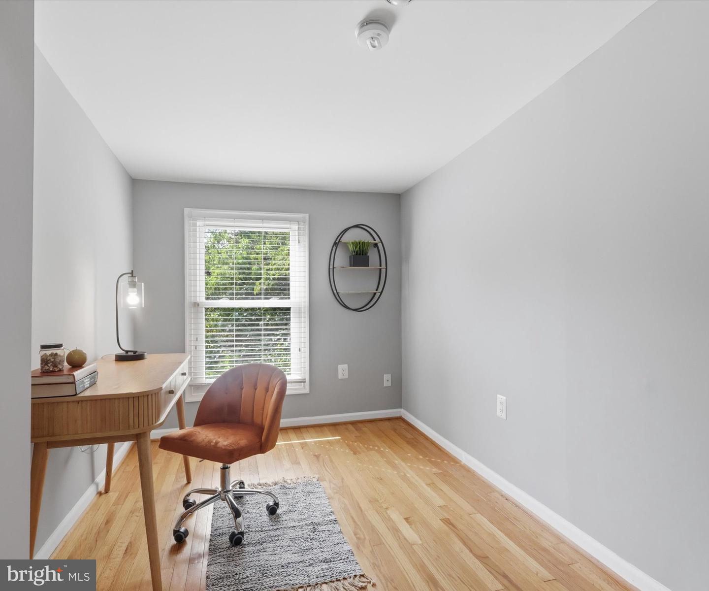 1225 Maryland Ave Ne Property Photo 17
