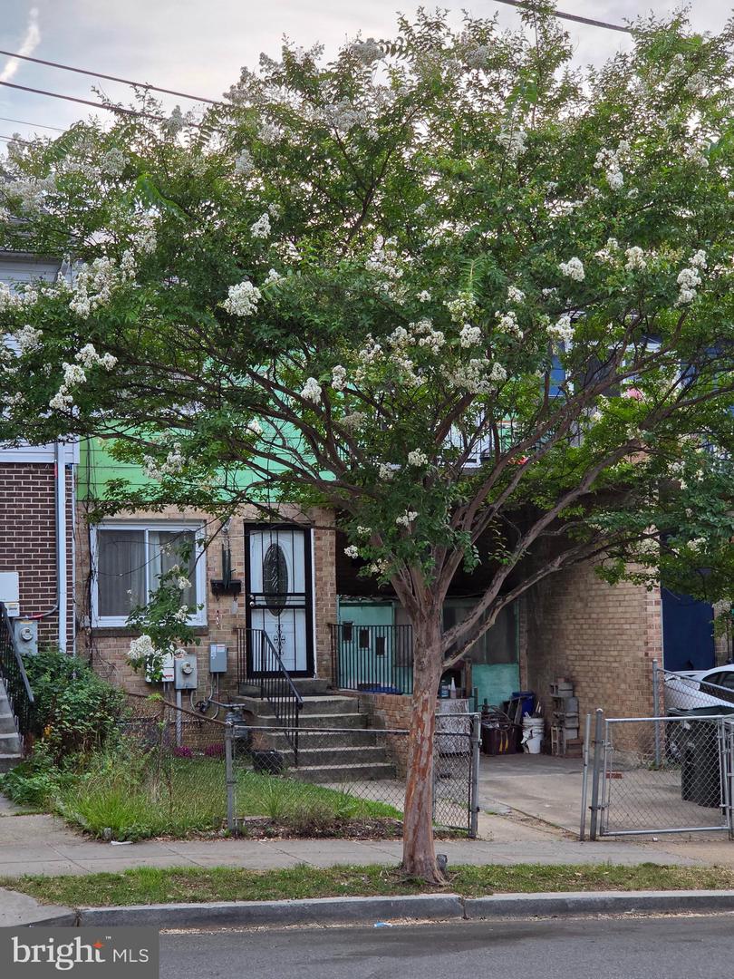 1116 Eastern Ave Ne Property Photo 4