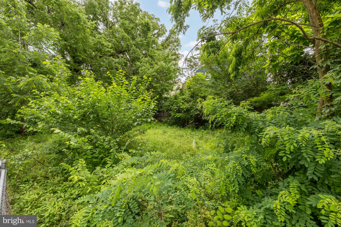275 56th Pl Ne Property Photo 2