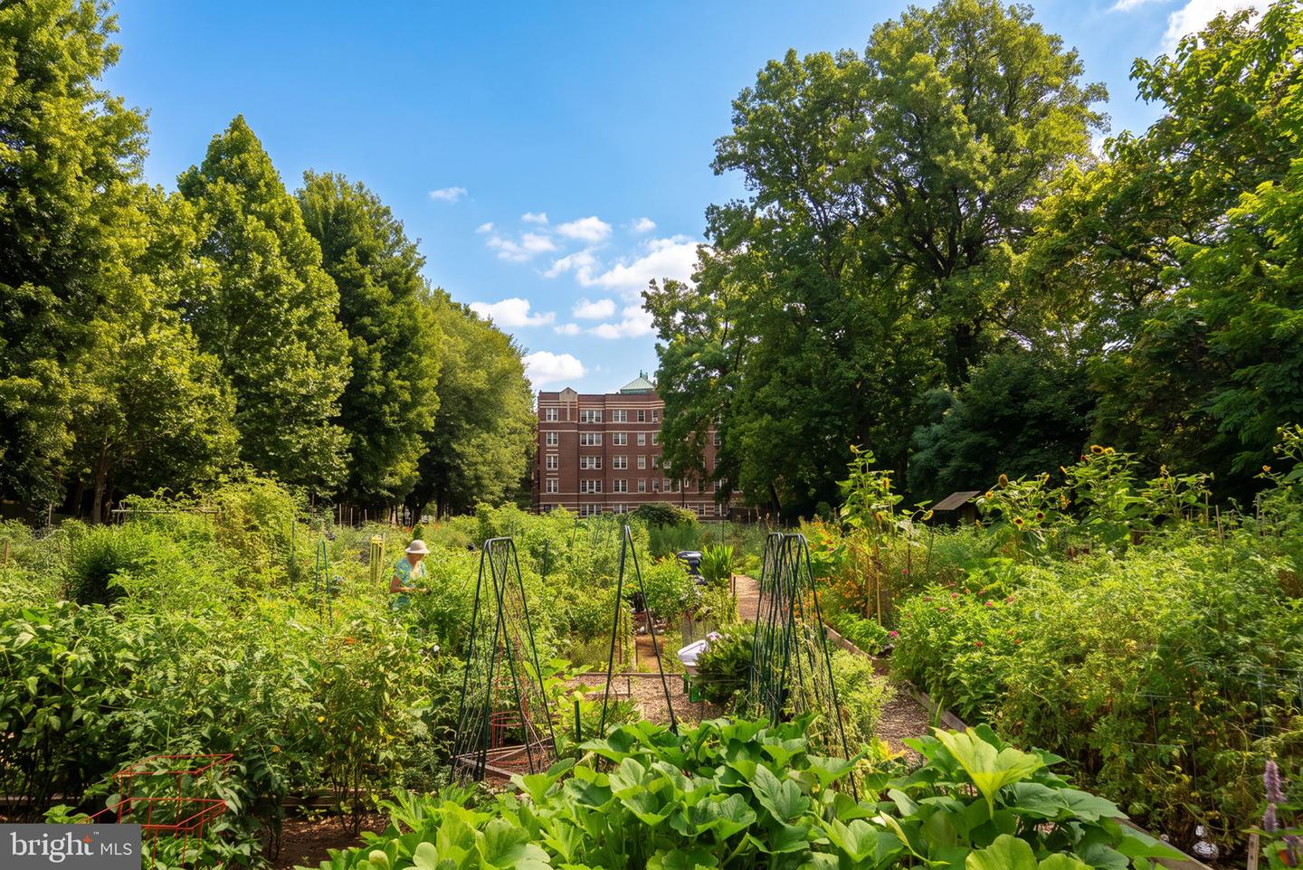 3041 Sedgwick Street Nw #201-d Property Photo 45