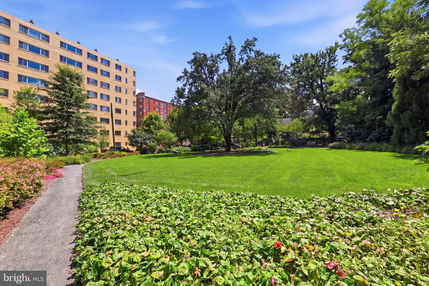 4600 Connecticut Ave Nw #209 Property Photo 43