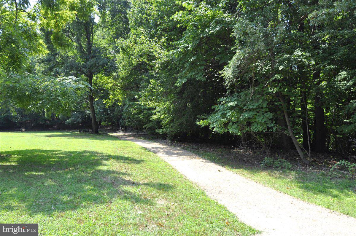 3701 Connecticut Ave Nw #237 Property Photo 62