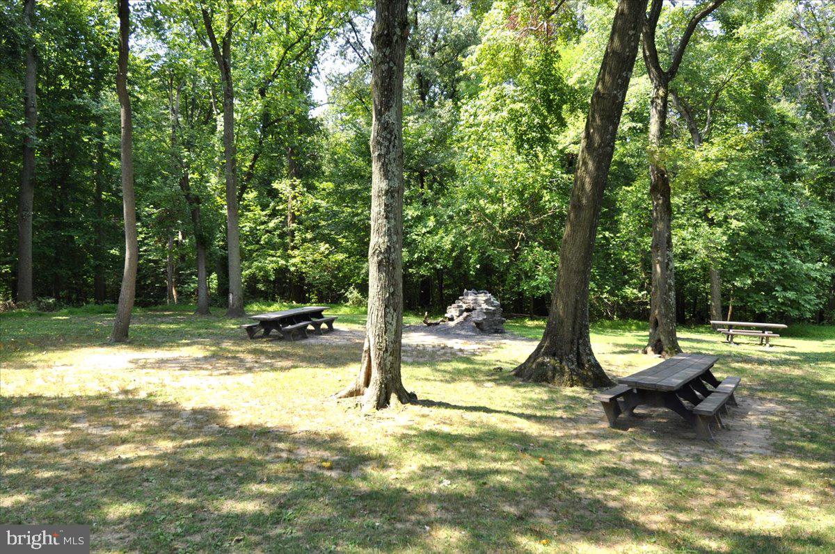 3701 Connecticut Ave Nw #237 Property Photo 63