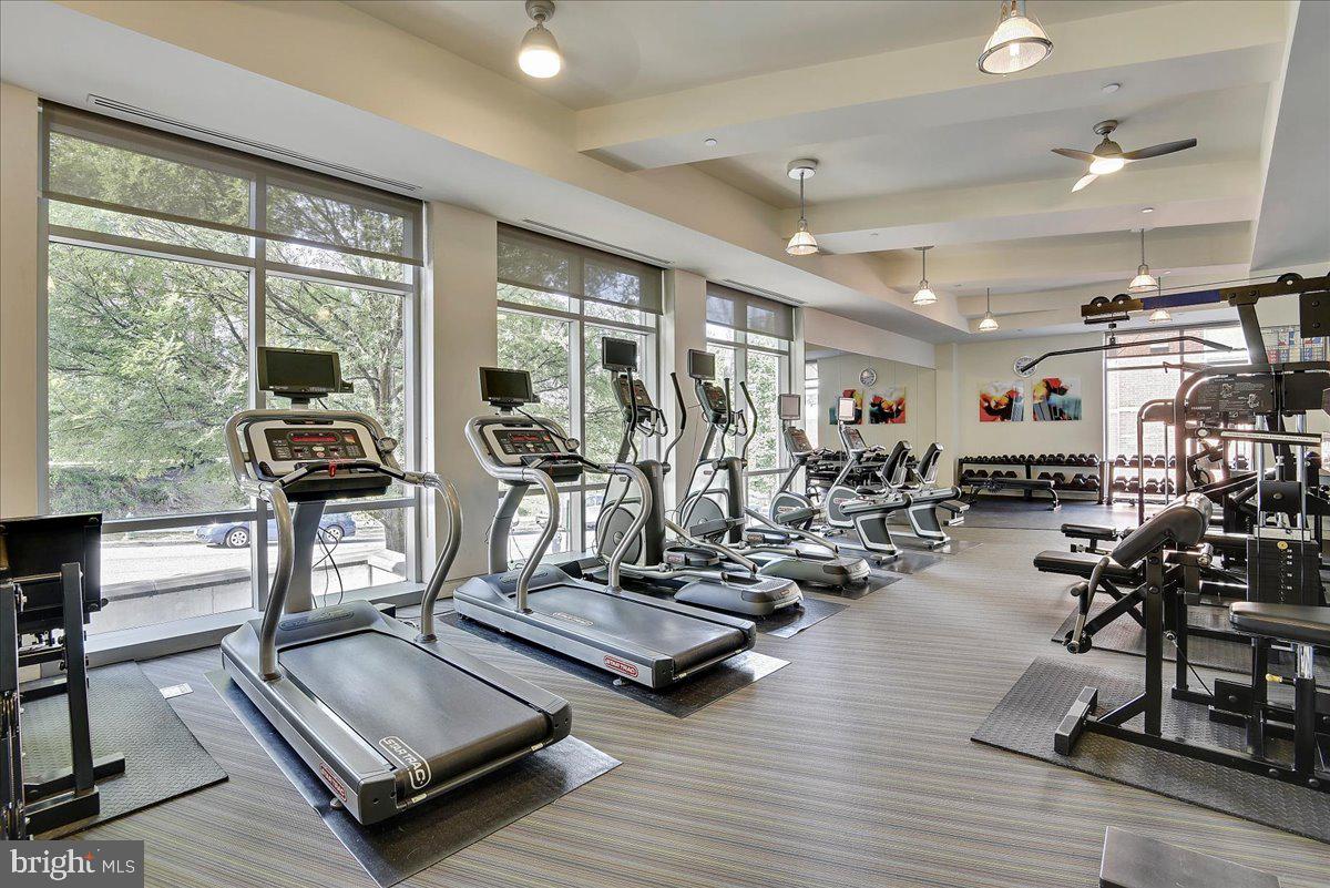 4101 Albemarle St Nw #428 Property Photo 20