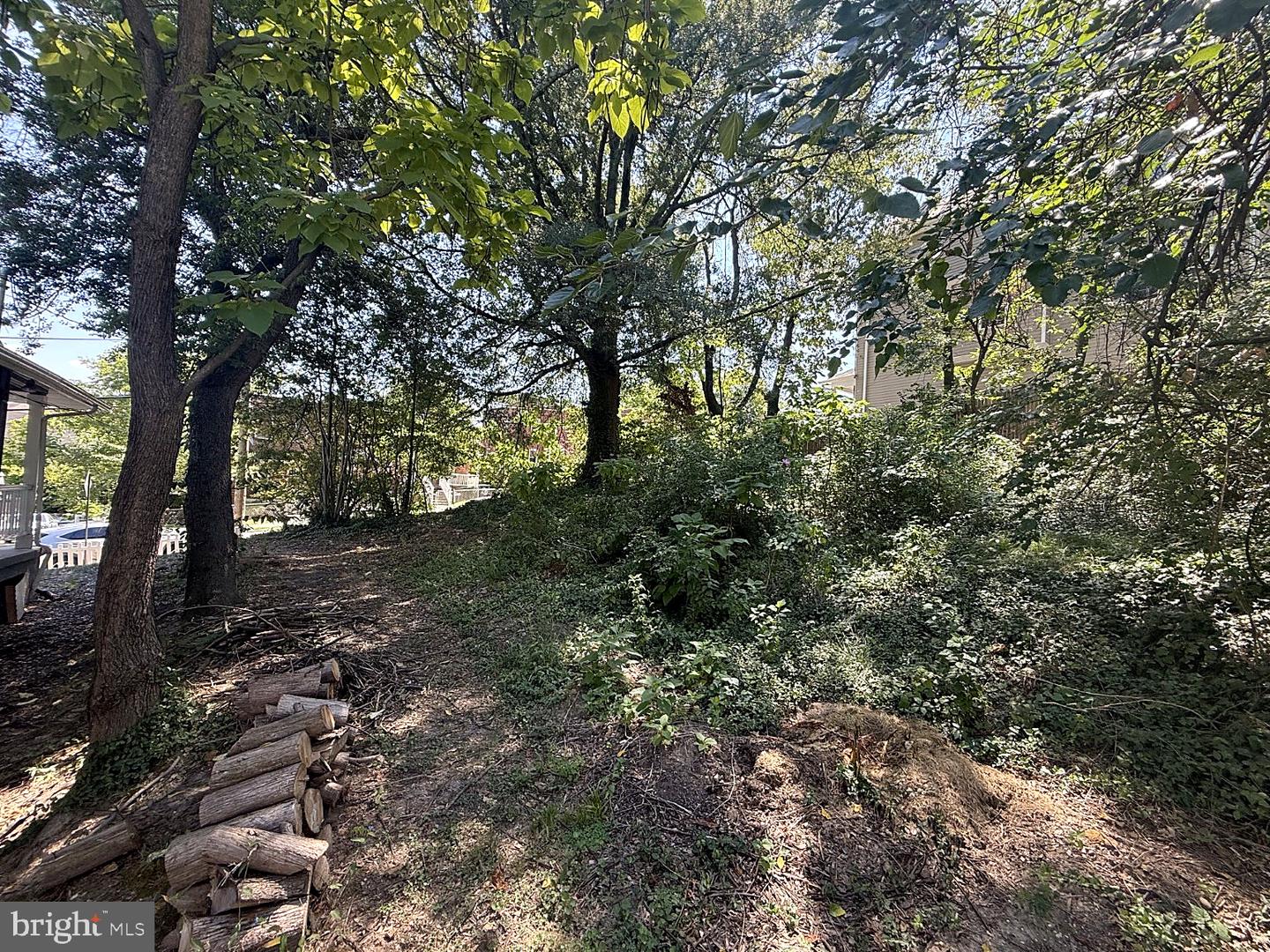 57th Pl Ne #lot 37 Property Photo 3