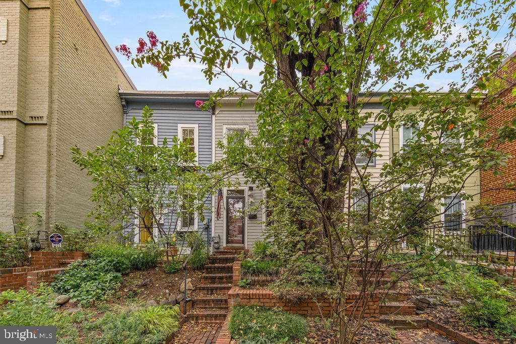 1124 C St Ne Property Photo 26