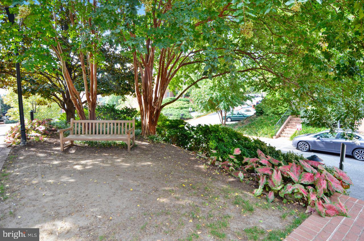 1604 Beekman Pl Nw #a Property Photo 42
