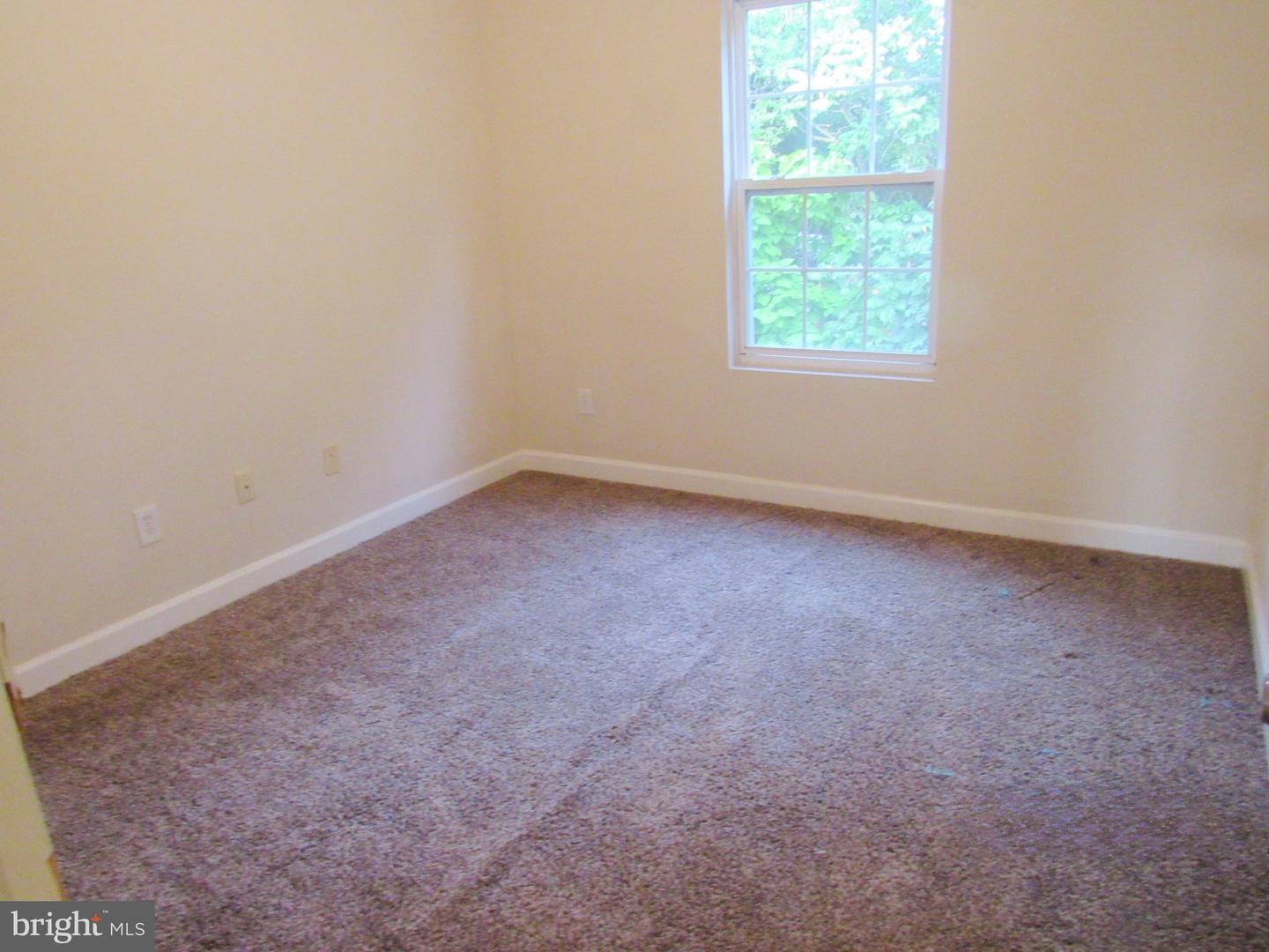 223 56th Pl Ne Property Photo 11