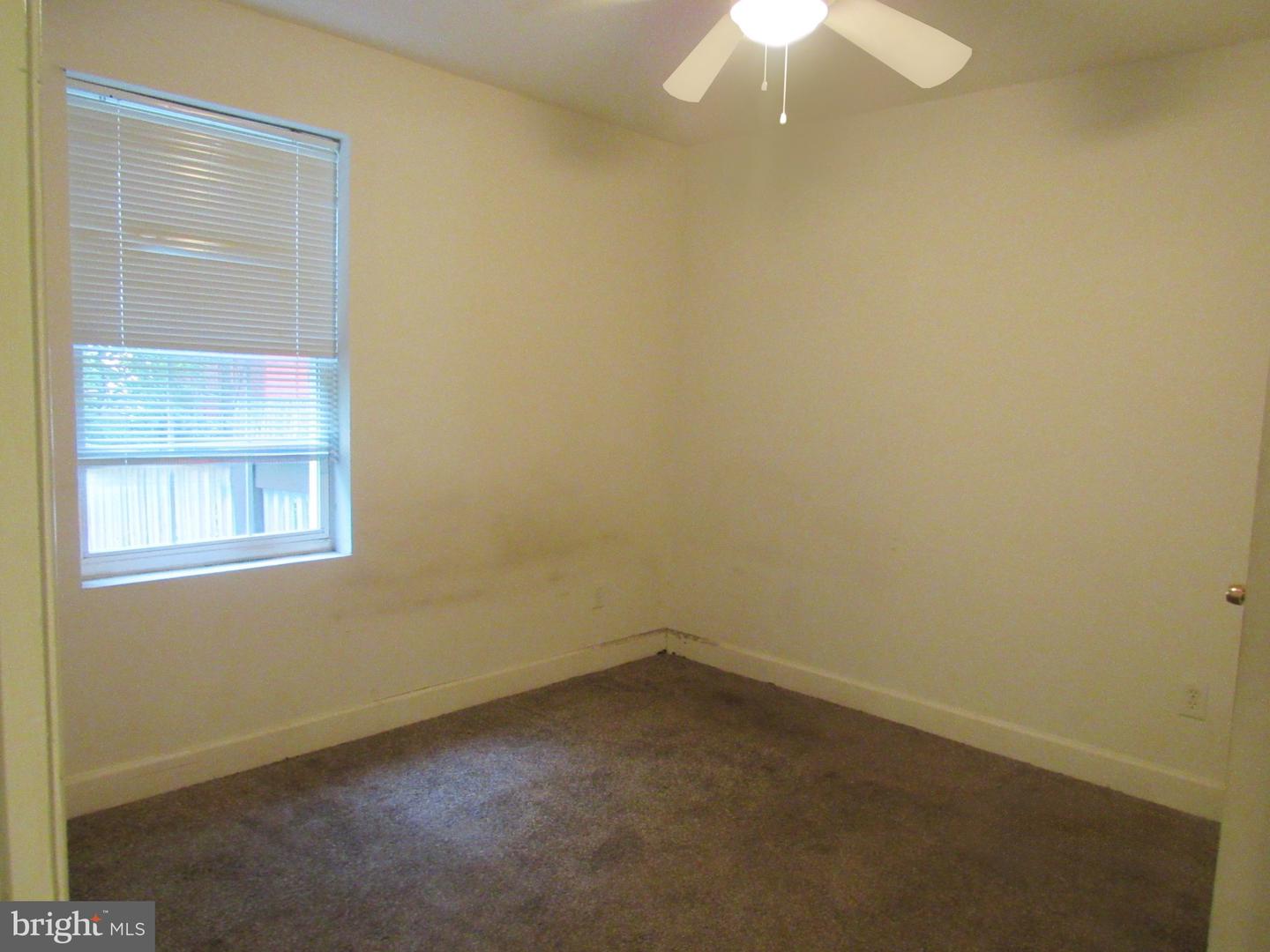 223 56th Pl Ne Property Photo 13