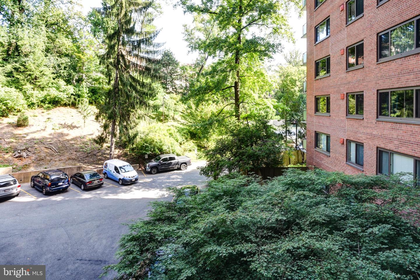 4201 Cathedral Ave Nw #202e Property Photo 39