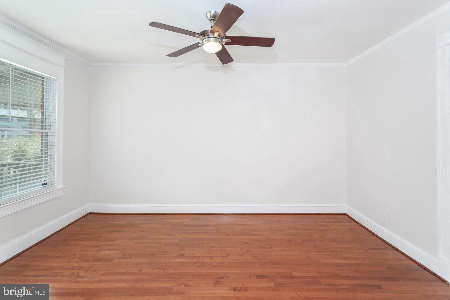 222 R St Ne Property Photo 12