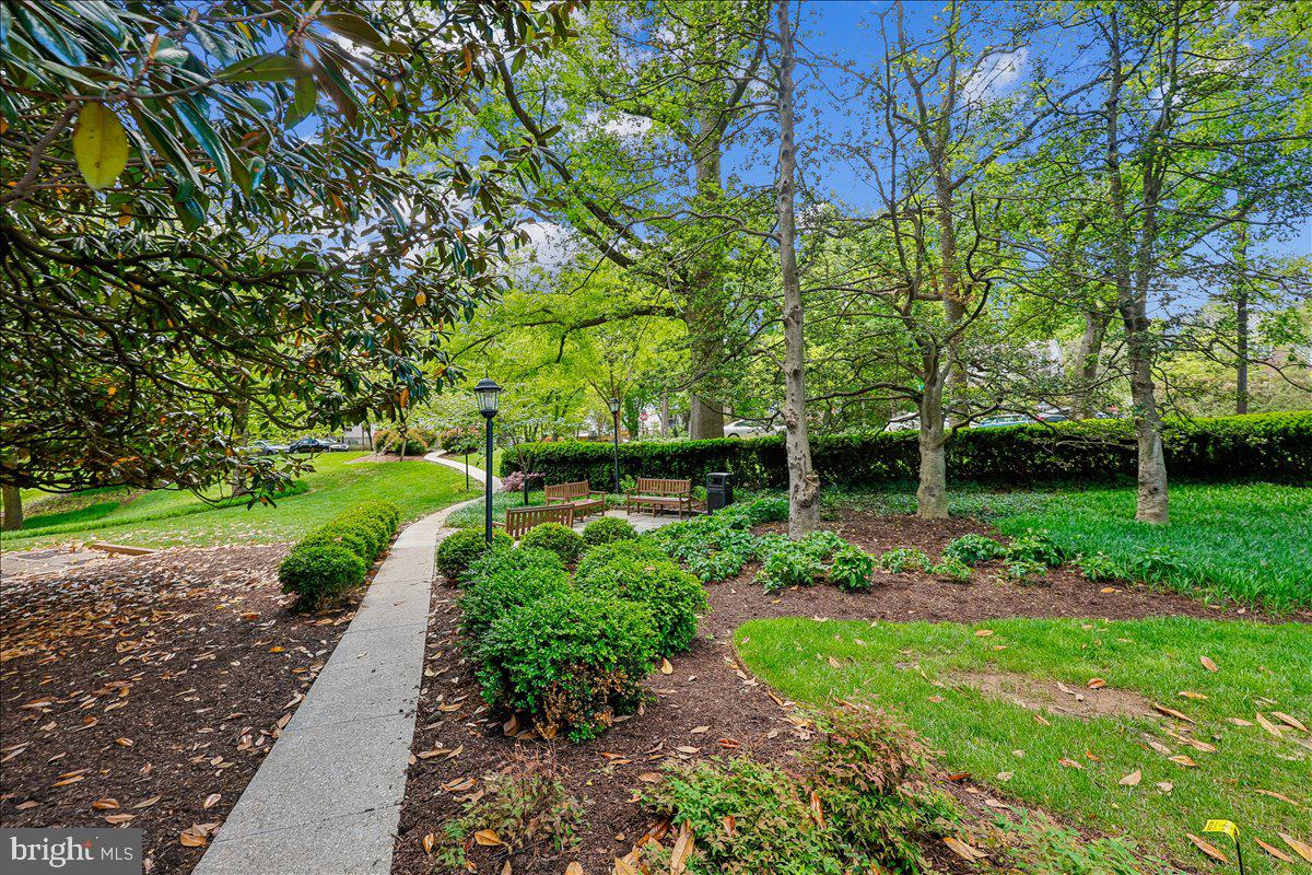 4200 Cathedral Ave Nw #716 Property Photo 3