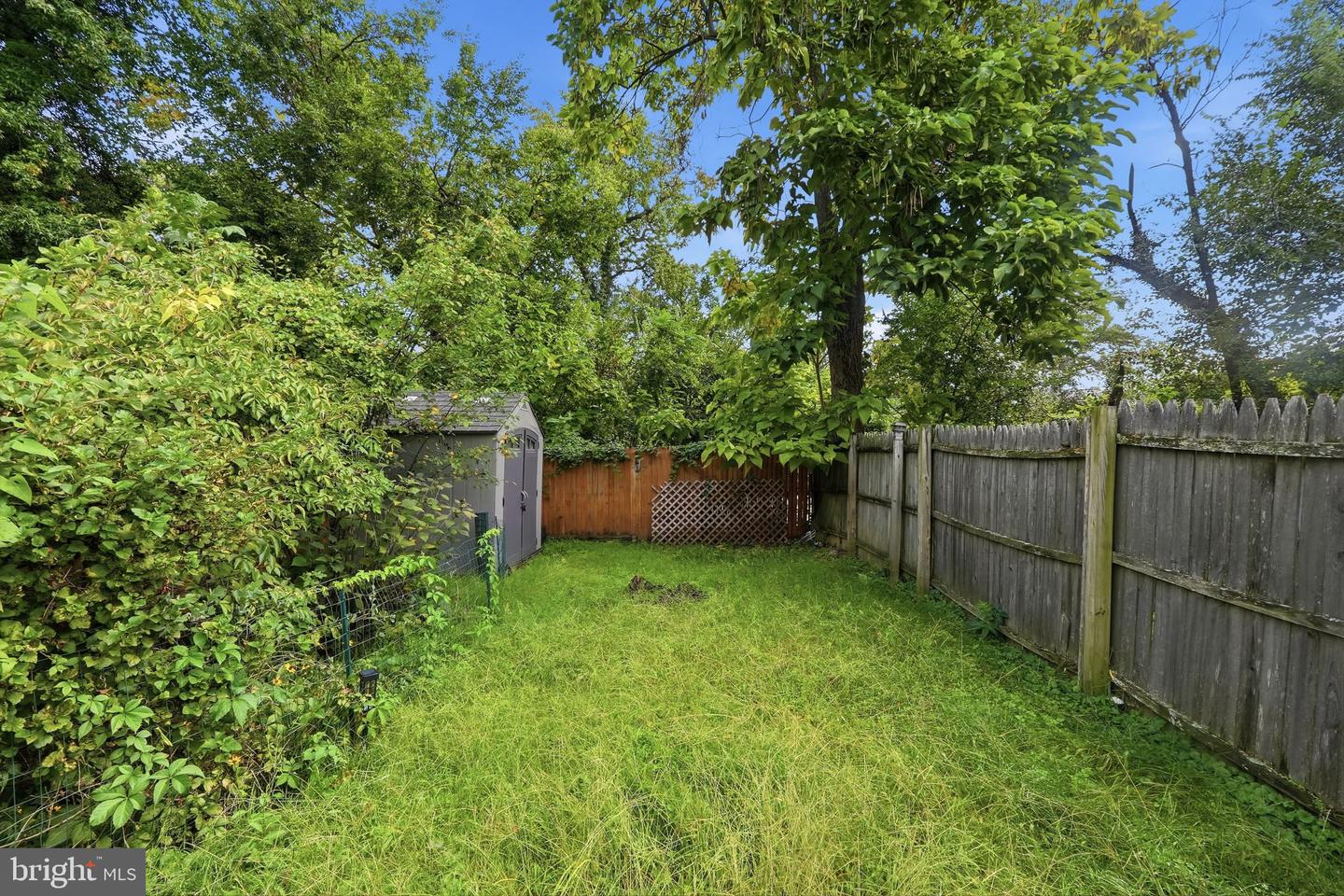 1319 49th Ne Property Photo 31