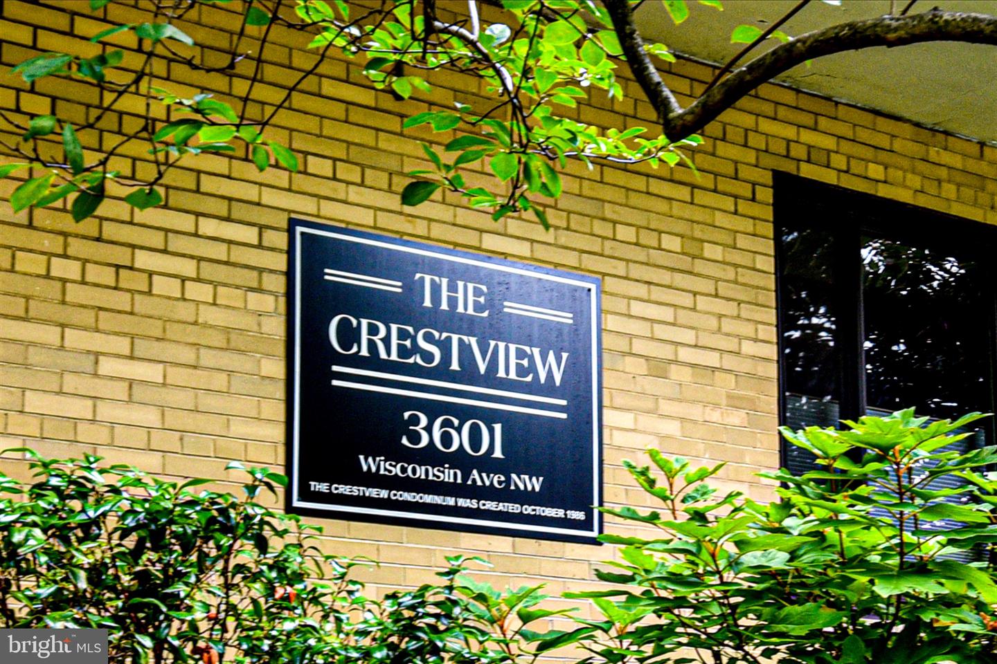 3601 Wisconsin Ave Nw #308 Property Photo 2