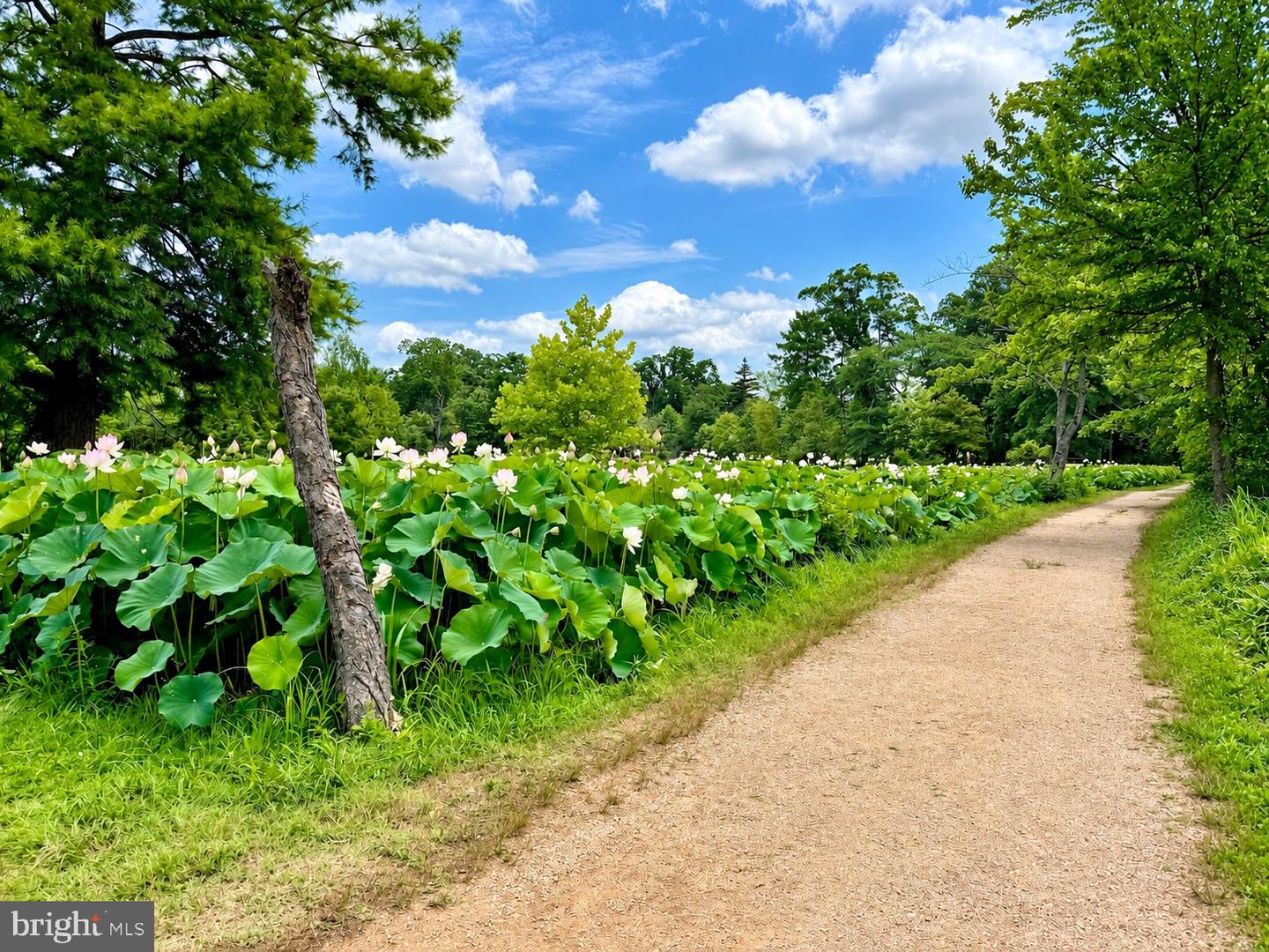 4236 Ne Grant St Ne Property Photo 41