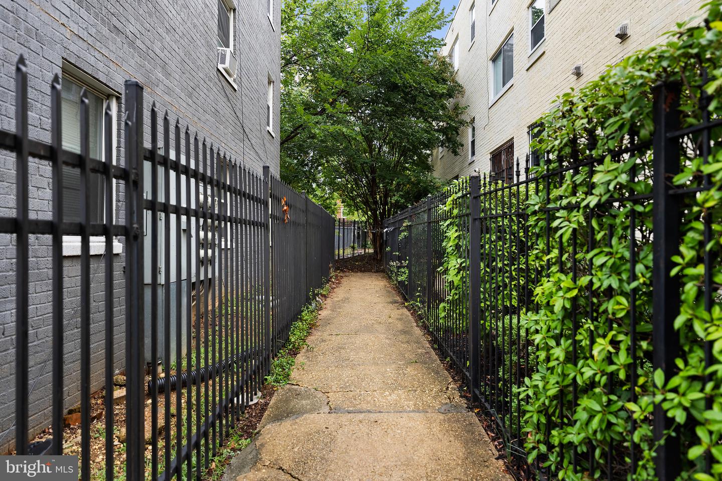 1310 Congress St Se #302 Property Photo 8