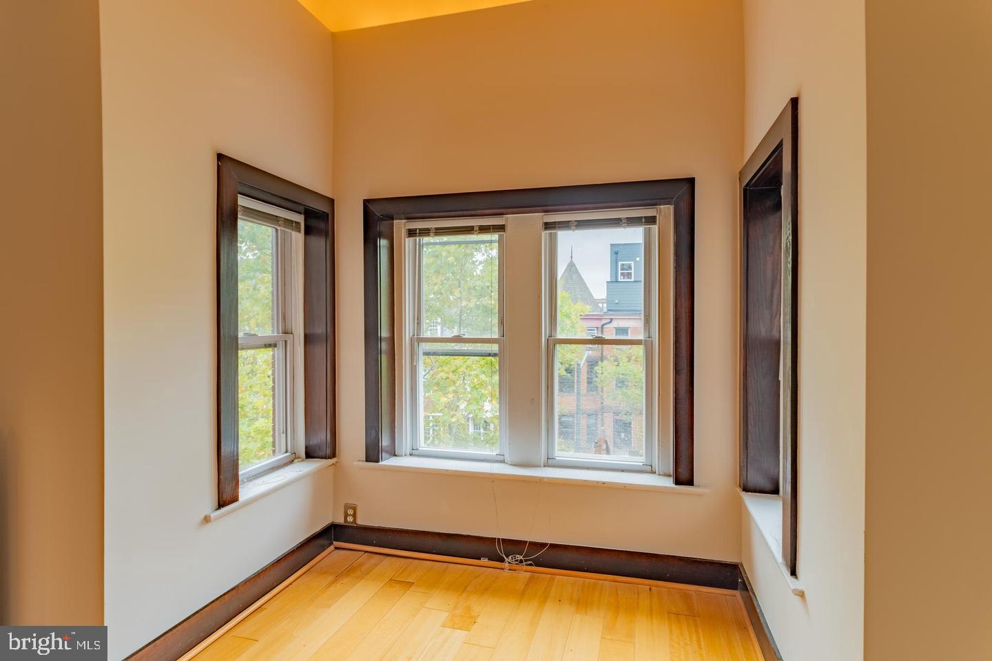 1459 Chapin St Nw Property Photo 18