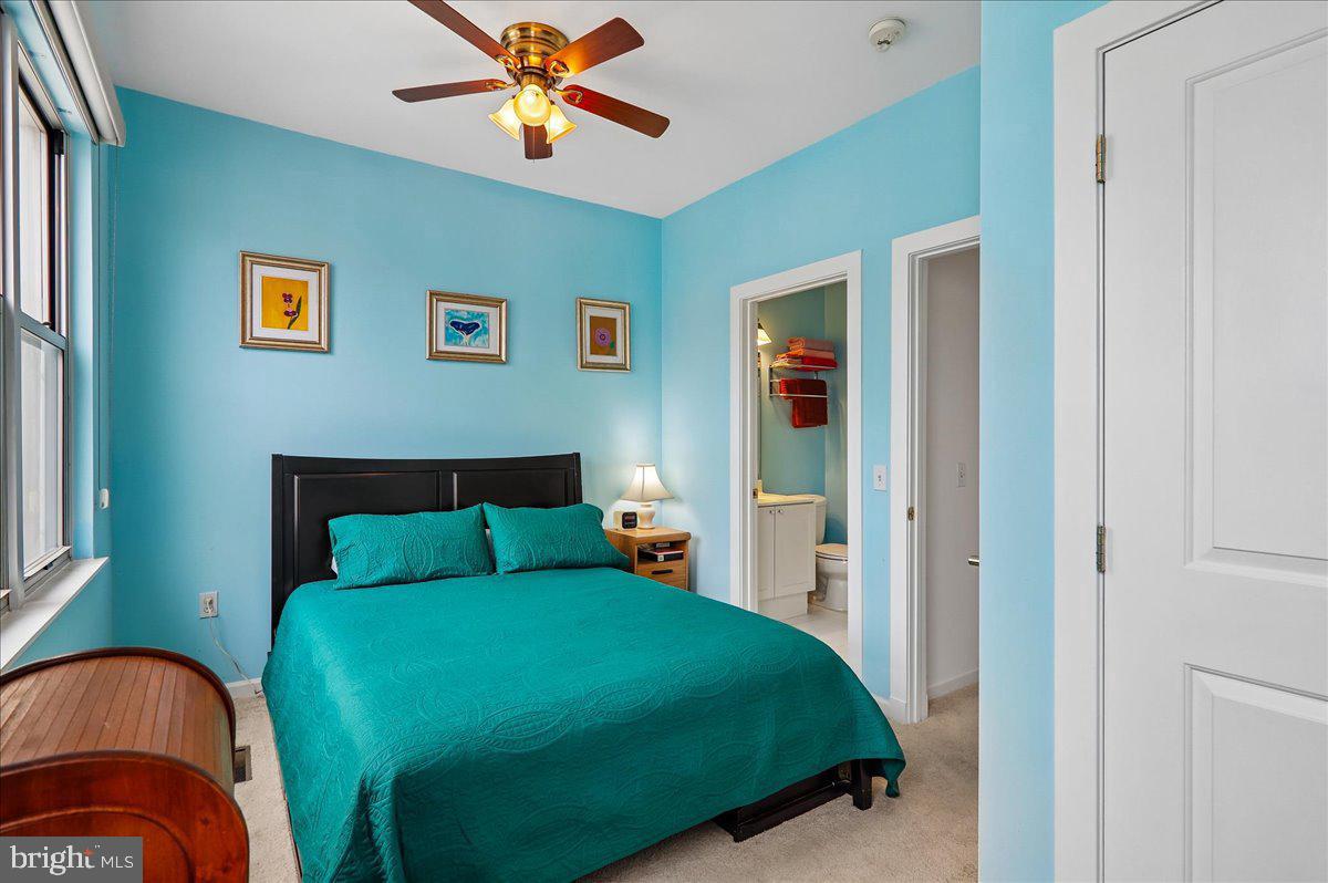 343 Cedar St Nw #316 Property Photo 37
