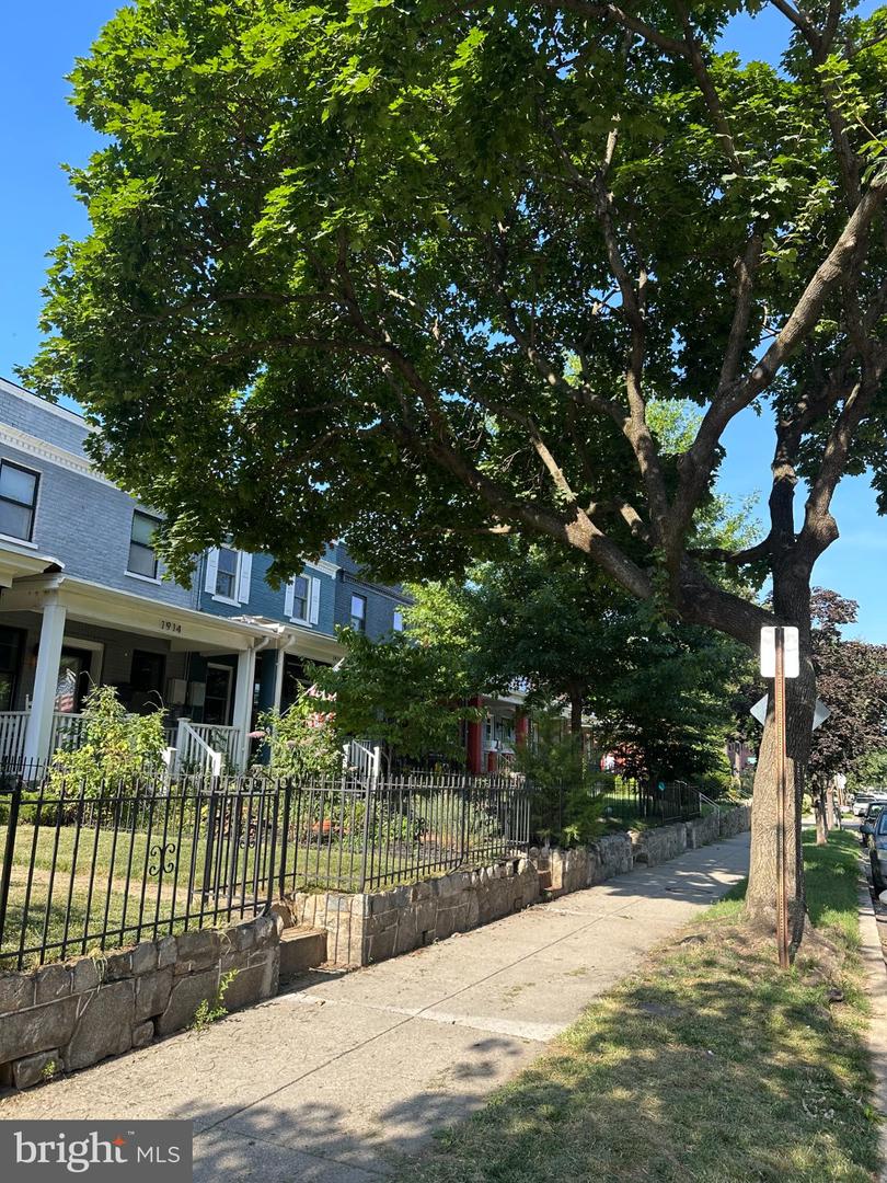 1914 D St Ne Property Photo 29