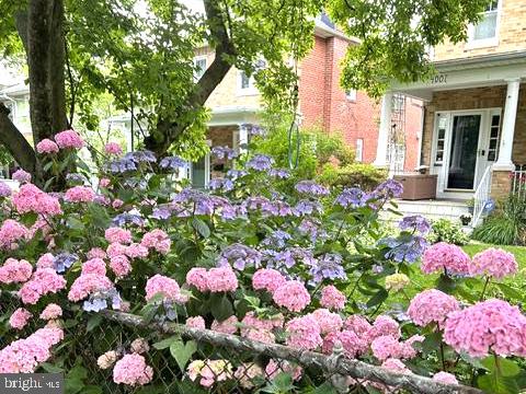 4007 Fessenden St Nw Property Photo 53
