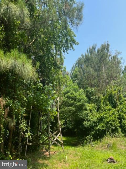 671 Williamsville Rd Property Photo 11