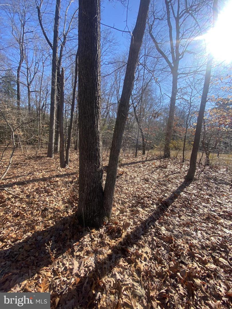 0 Cloverfield Ln Property Photo 1